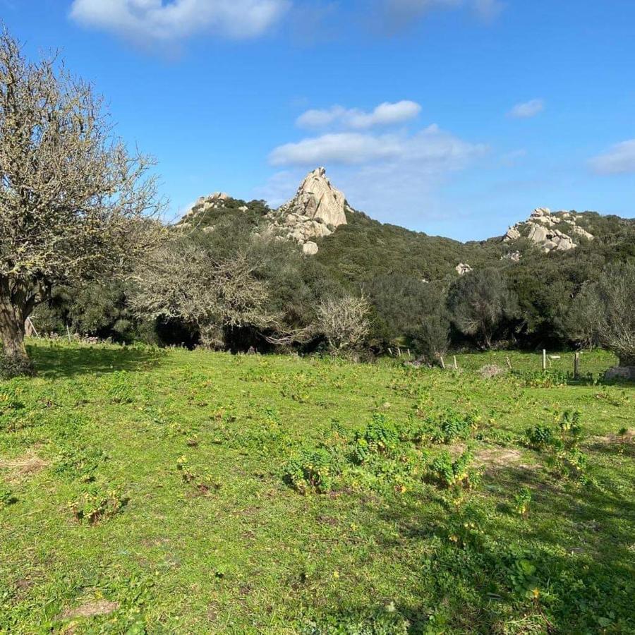 Casa Maltinu Villa Santa Teresa Gallura Eksteriør bilde