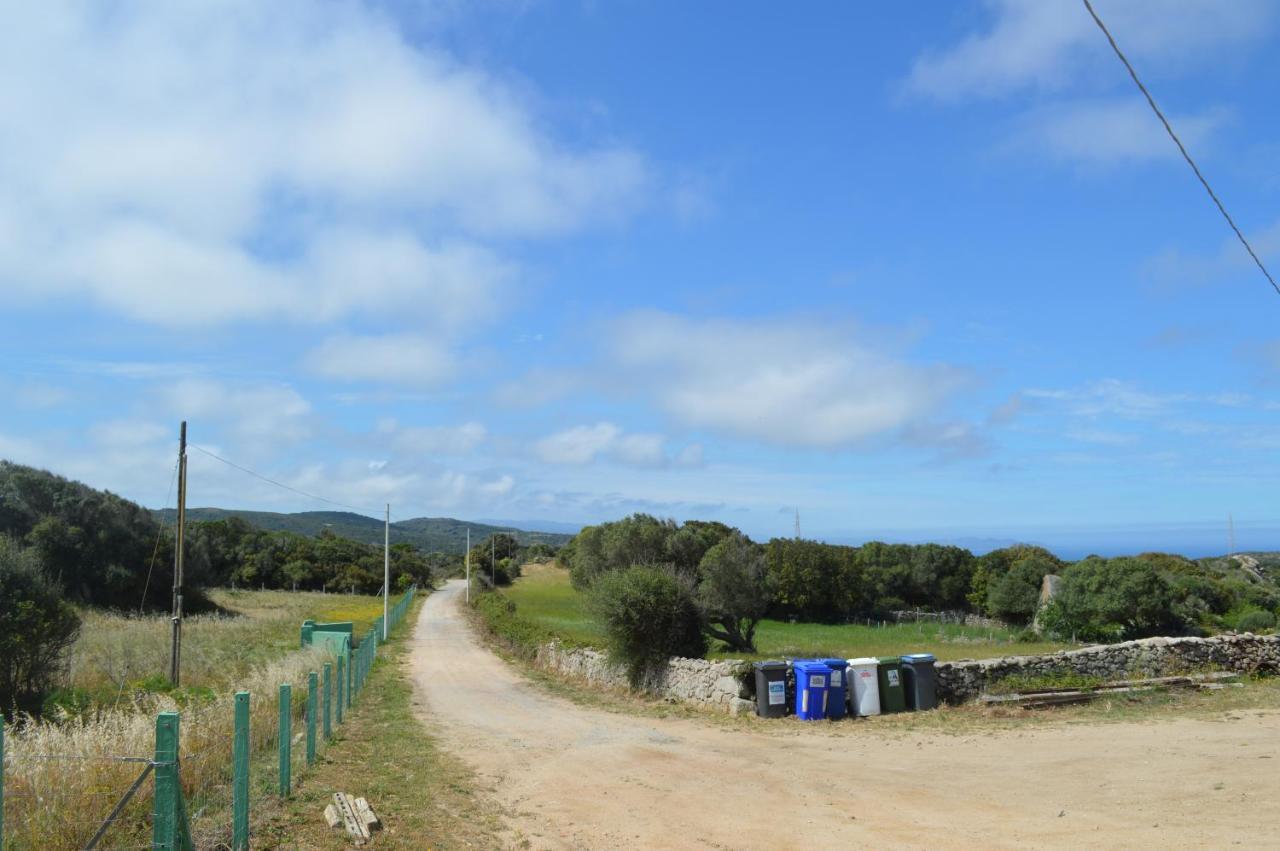 Casa Maltinu Villa Santa Teresa Gallura Eksteriør bilde