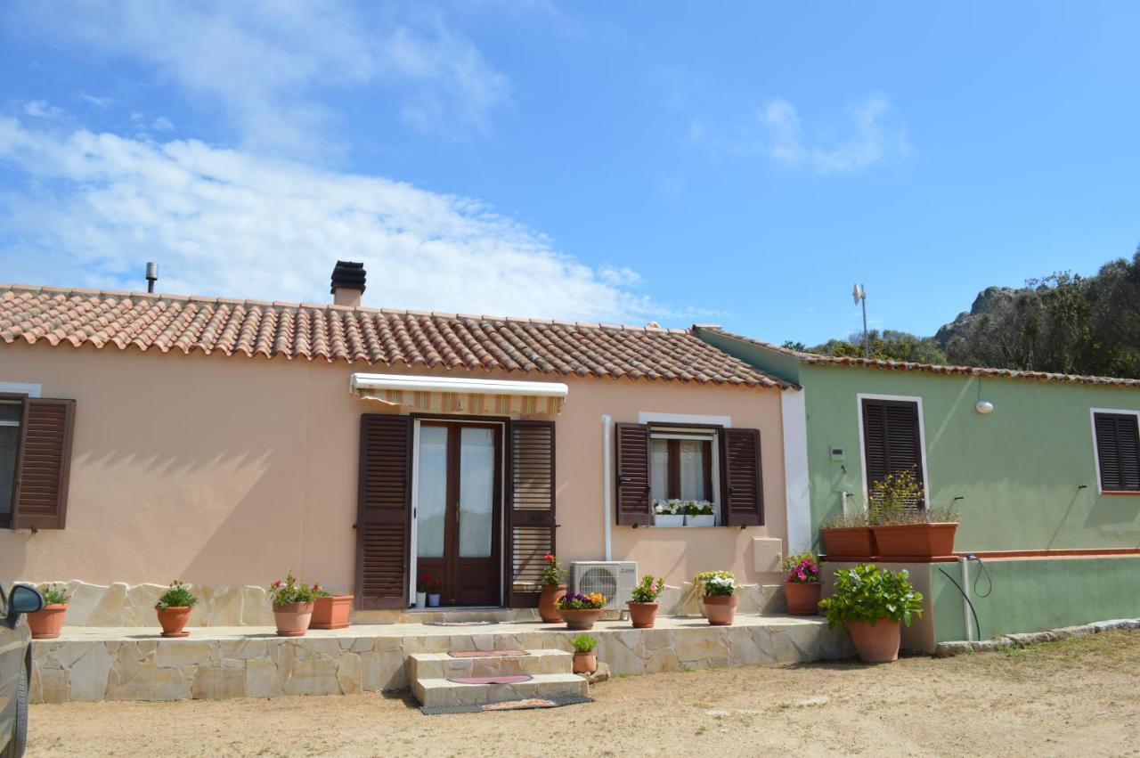 Casa Maltinu Villa Santa Teresa Gallura Eksteriør bilde