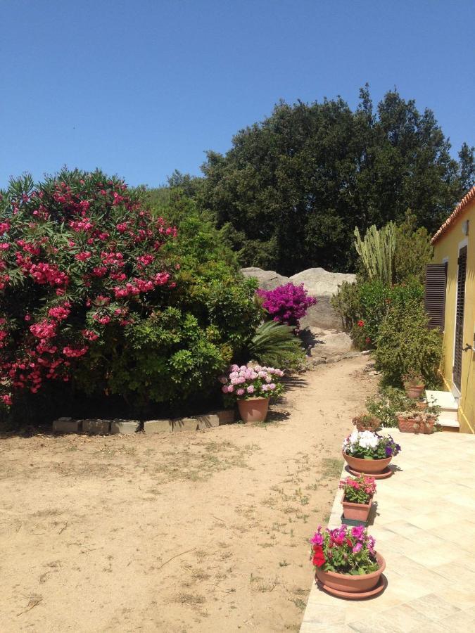 Casa Maltinu Villa Santa Teresa Gallura Eksteriør bilde