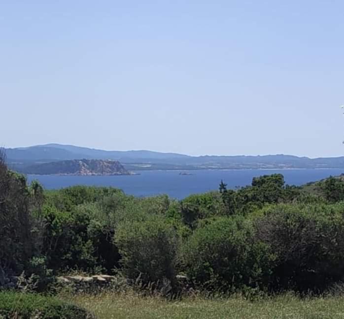 Casa Maltinu Villa Santa Teresa Gallura Eksteriør bilde