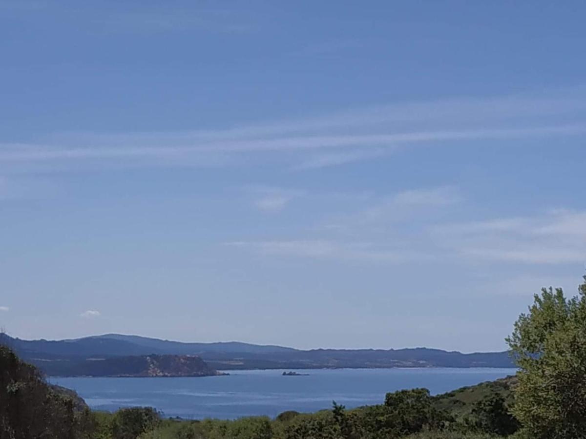 Casa Maltinu Villa Santa Teresa Gallura Eksteriør bilde